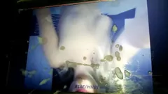 Afspelen Met zaad bedekte, ronde zwarte godin wordt gemeen met grote lul en smerig sperma
